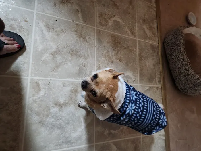 Hiram Animal Hospital Picture 10
