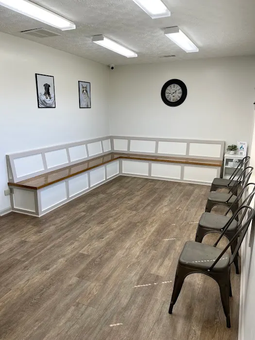 Paulding Animal Clinic Picture 2