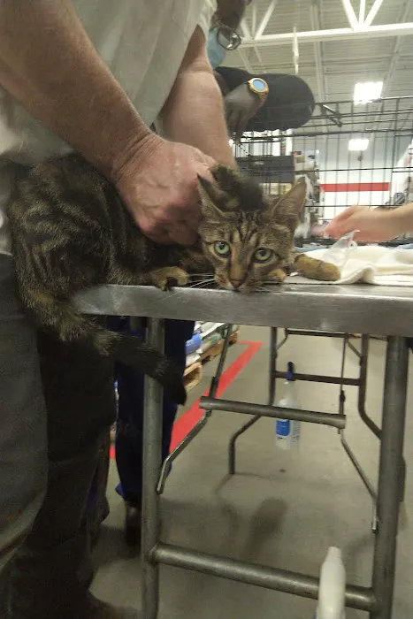 ProtectMyPet Vaccinations Clinic at Tractor Supply Co. Picture 2