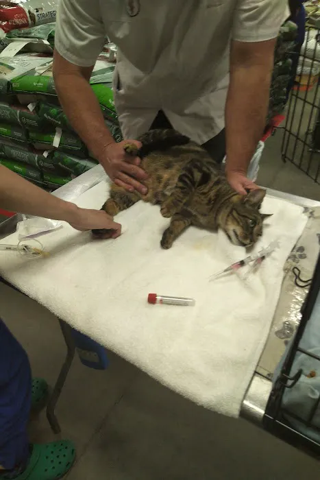 ProtectMyPet Vaccinations Clinic at Tractor Supply Co. Picture 4