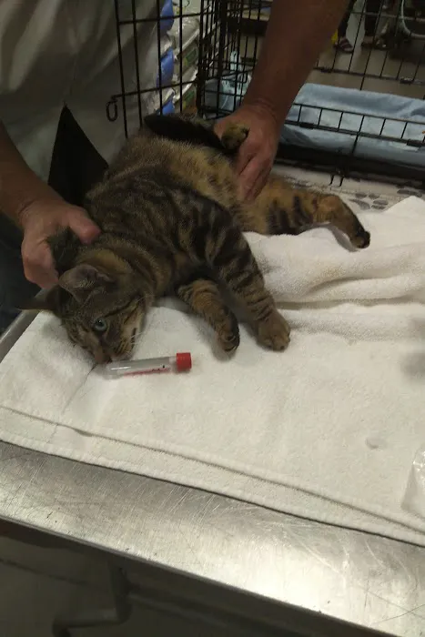 ProtectMyPet Vaccinations Clinic at Tractor Supply Co. Picture 6