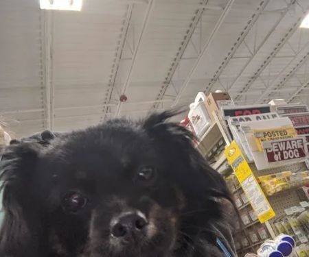 ProtectMyPet Vaccinations Clinic at Tractor Supply Co.