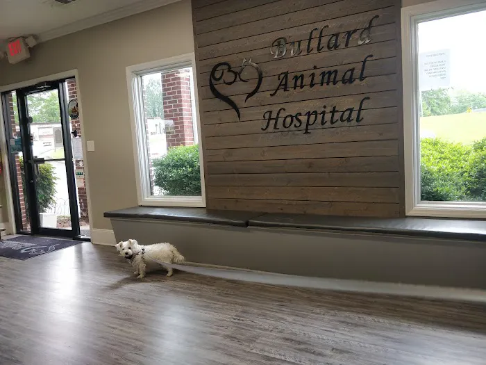 Bullard Animal Hospital Picture 9