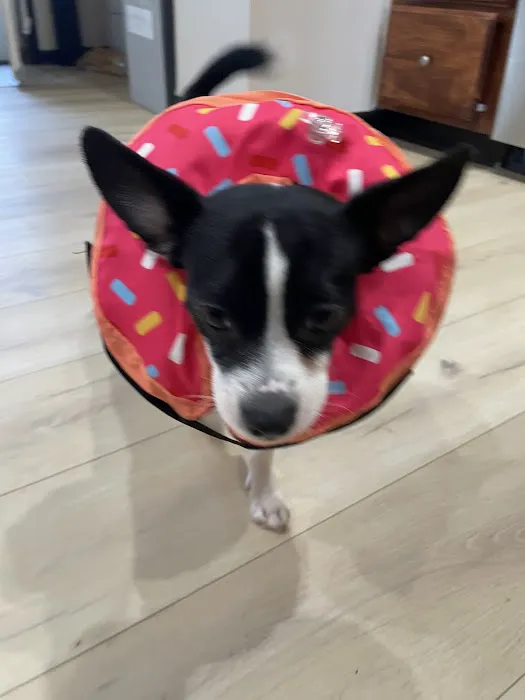 Bankhead Animal Hospital Picture 1