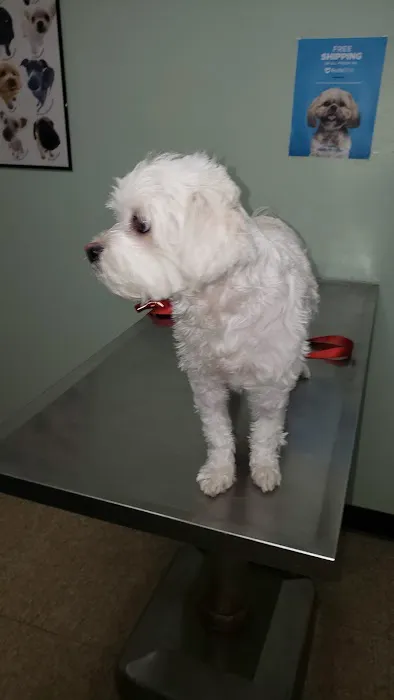 Bankhead Animal Hospital Picture 5