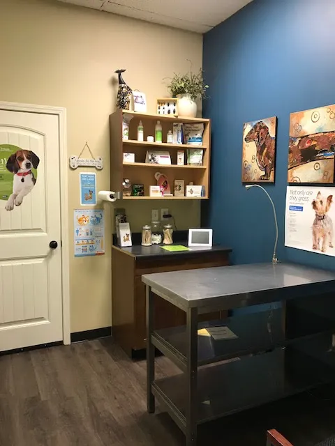 Community Animal Clinic Picture 5