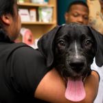 Community Animal Clinic