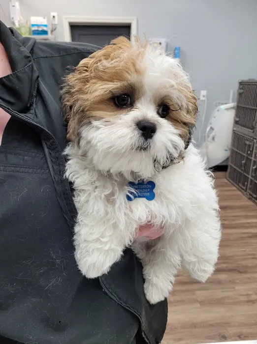 Community Animal Clinic Picture 7