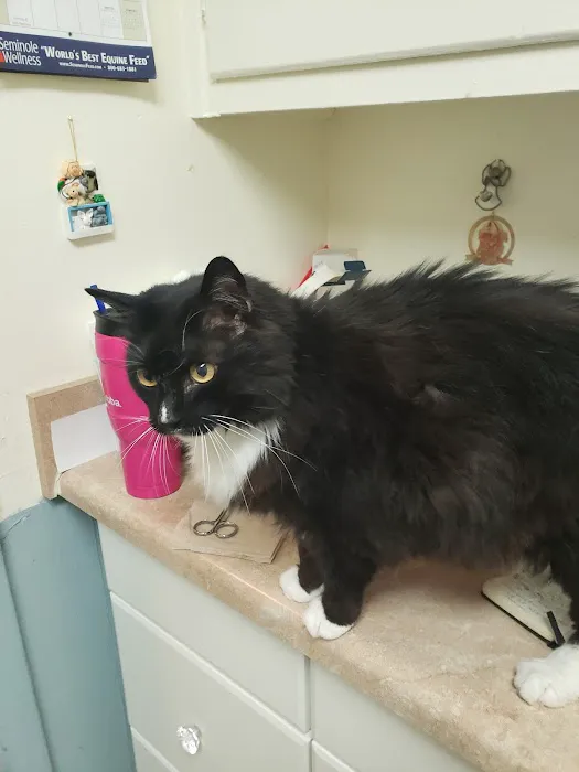 Whiteway Animal Hospital Picture 2