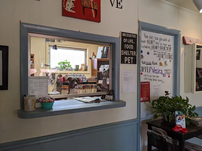Whiteway Animal Hospital Picture 9