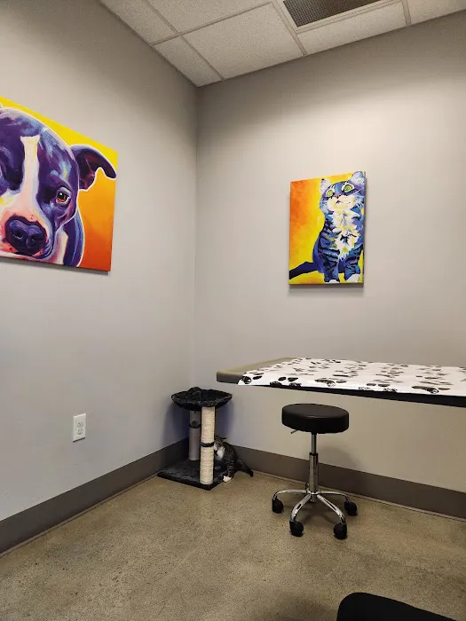 Peachtree Creek Animal Hospital Picture 4