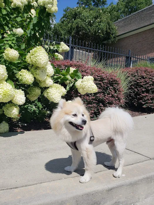Peachtree Creek Animal Hospital Picture 1