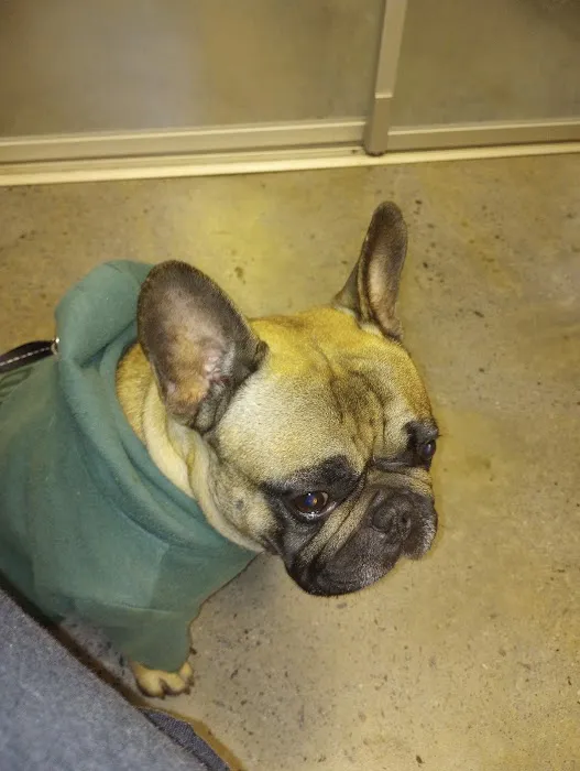 Peachtree Creek Animal Hospital Picture 8