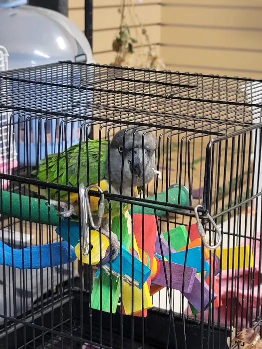 For Pet's Sake Picture 2