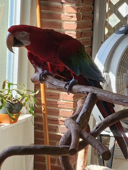 For Pet's Sake Picture 6