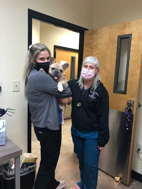 Saint Francis Veterinary Specialists and Emergency Picture 5
