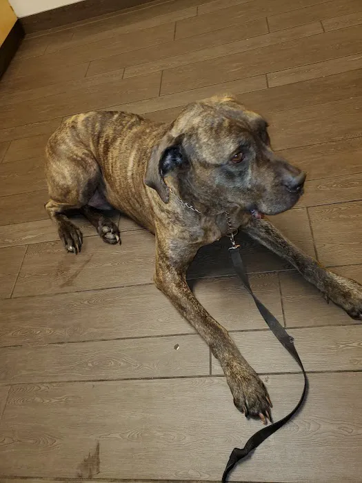 Banfield Pet Hospital Picture 1