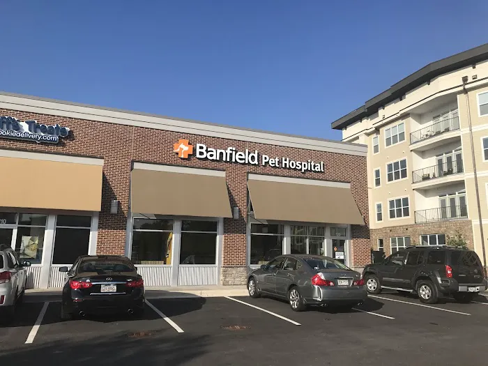 Banfield Pet Hospital Picture 6