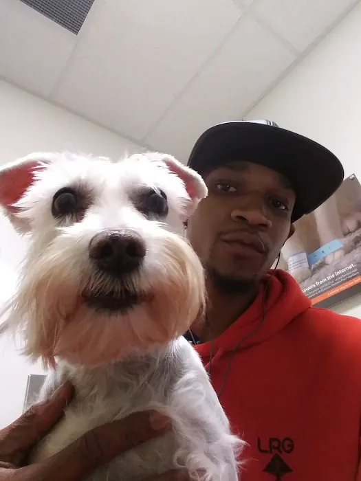 Banfield Pet Hospital Picture 3