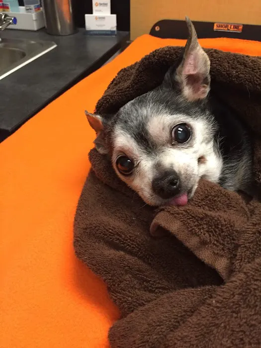 Banfield Pet Hospital Picture 2