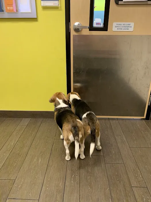 Banfield Pet Hospital Picture 7