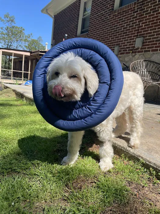 Banfield Pet Hospital Picture 8