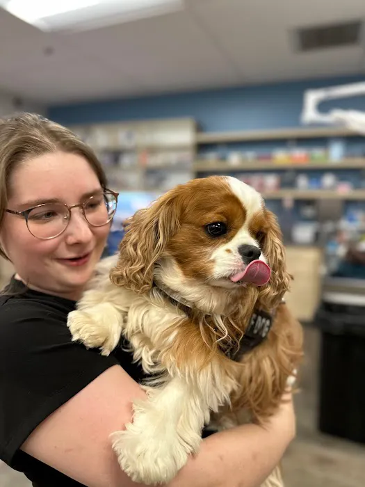 Thrive Pet Healthcare - Decatur Picture 5