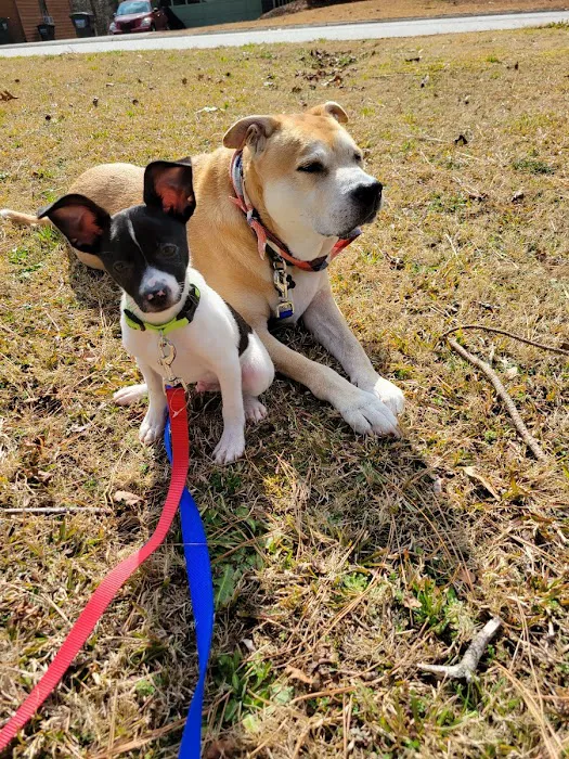 Thrive Pet Healthcare - Decatur Picture 8