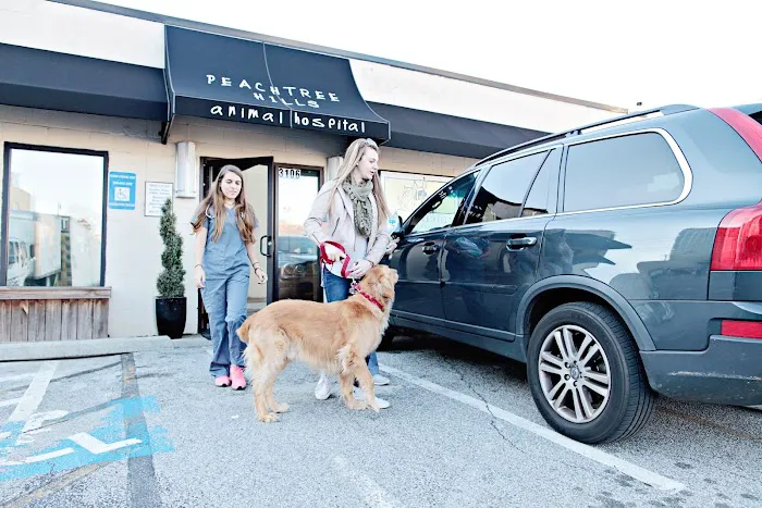 Peachtree Hills Animal Hospital Picture 3