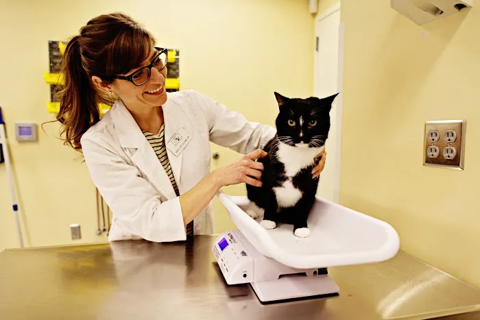 Peachtree Hills Animal Hospital Picture 8