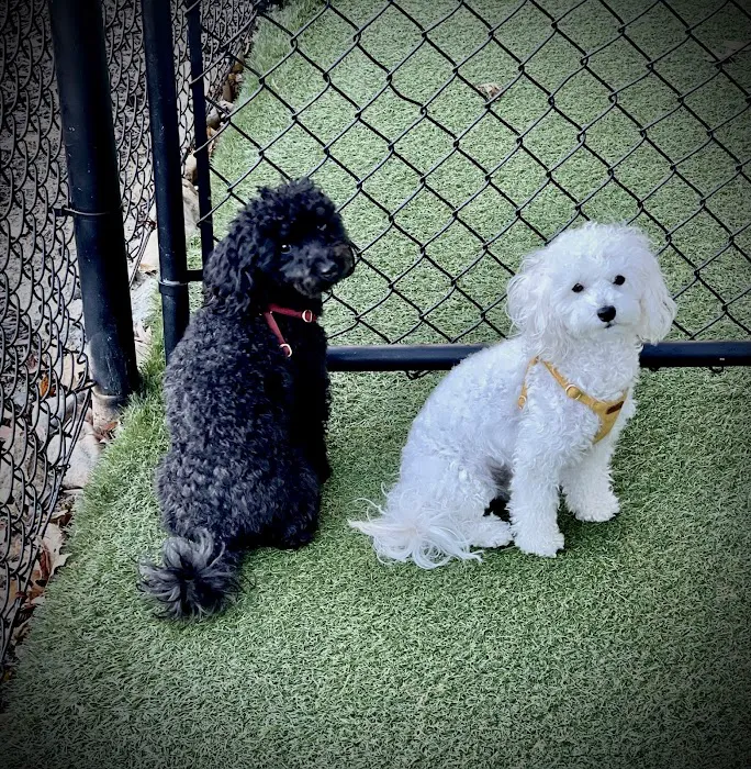 Peachtree Hills Animal Hospital Picture 6