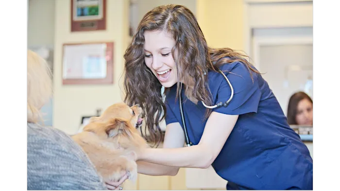 Peachtree Hills Animal Hospital Picture 9