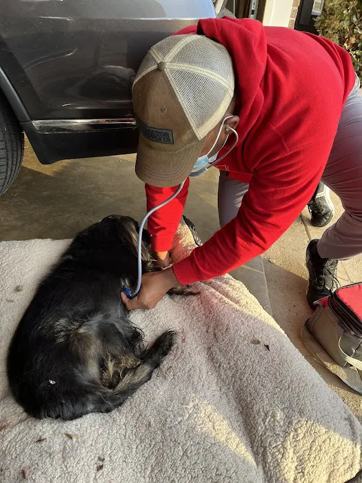 Jackson's Veterinary Services Picture 2