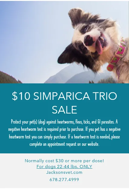 Jackson's Veterinary Services Picture 7