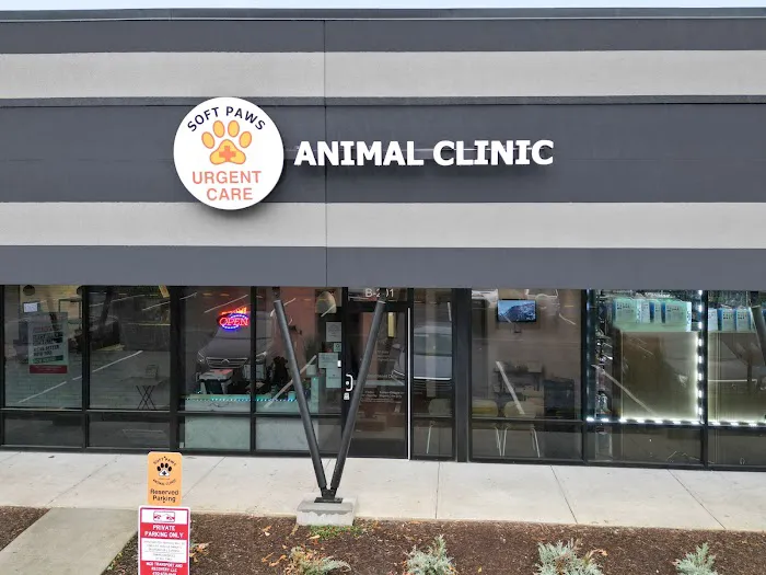 Soft Paws Animal Urgent Care and Emergency Clinic Picture 7