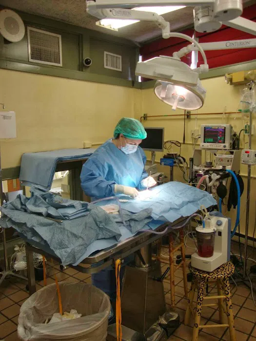 VCA Briarcliff Animal Hospital Picture 8