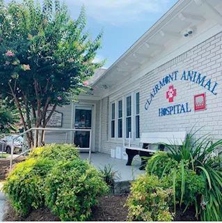 Clairmont Animal Hospital Picture 6