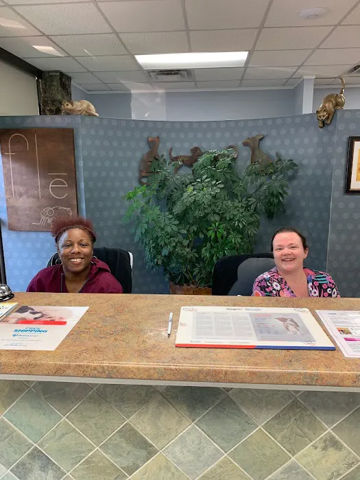 Avondale Veterinary Hospital Picture 10