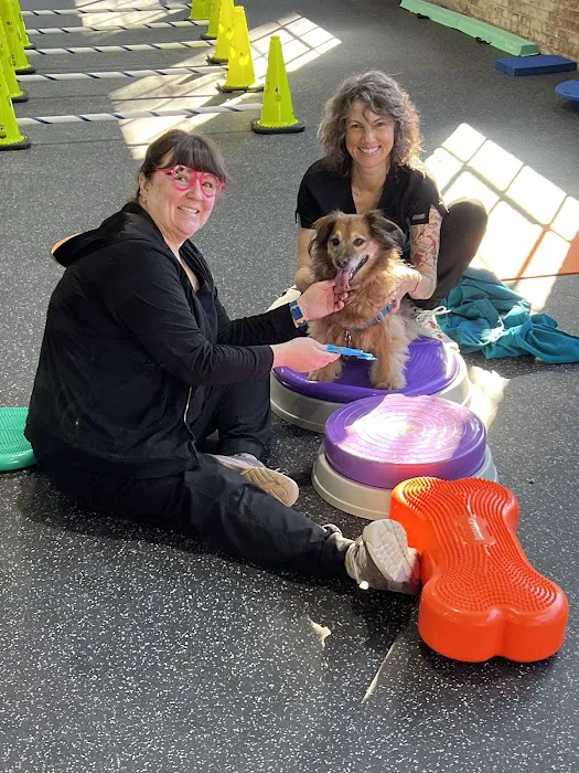 Resurgence Veterinary Mobility Picture 3