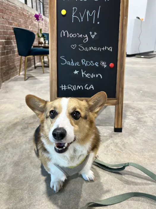 Resurgence Veterinary Mobility Picture 10