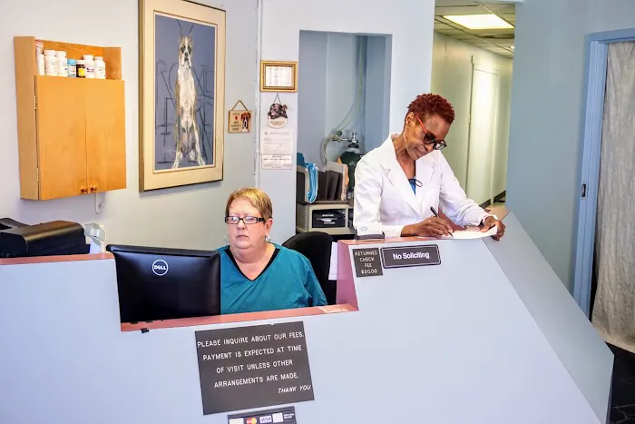 Atlanta Veterinary Eye Clinic Picture 10