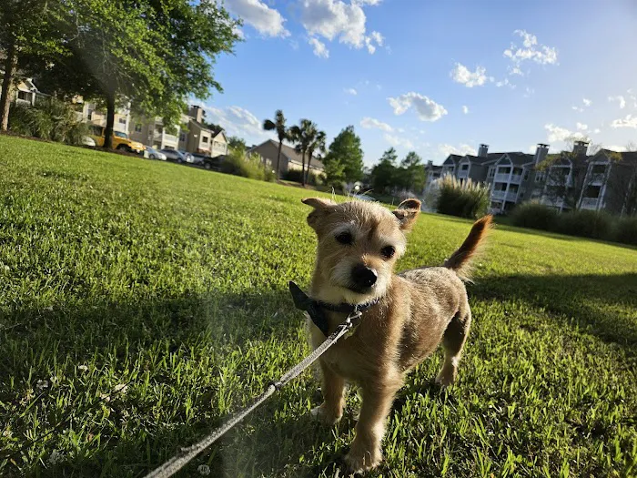 On Point Animal Wellness Picture 3