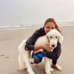 On Point Animal Wellness