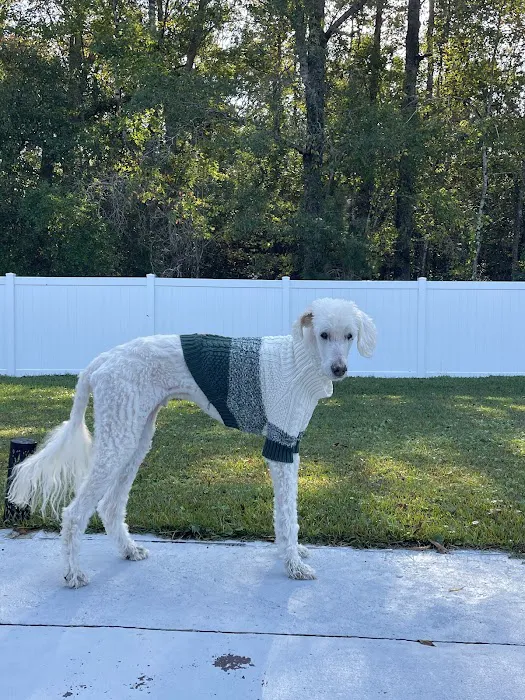 On Point Animal Wellness Picture 6