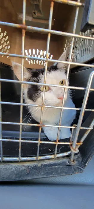 Bennettsville Animal Hospital Picture 6