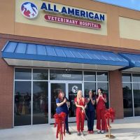 All American Veterinary Hospital ico