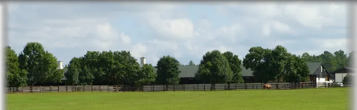 Hassinger Equine Sports Medicine & Rehabilitation Picture 7