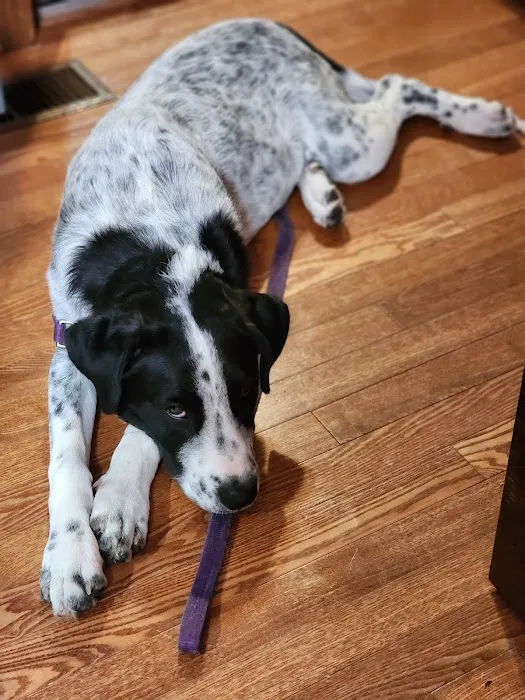 Cooley Veterinary Hospital Picture 6