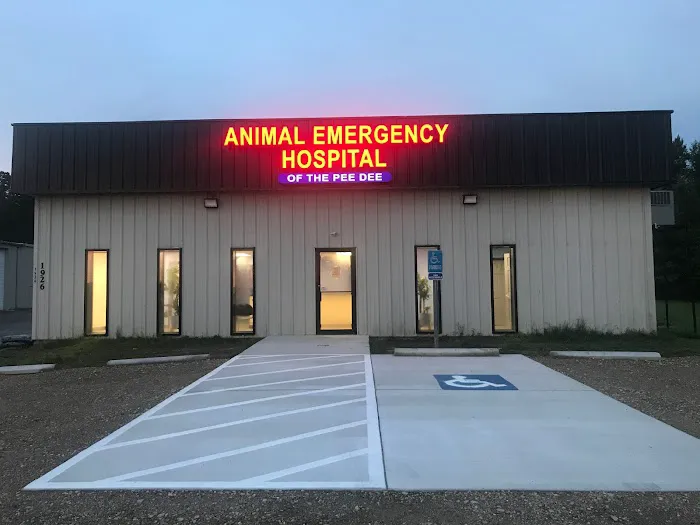 Animal Emergency Hospital of the Pee Dee Picture 5