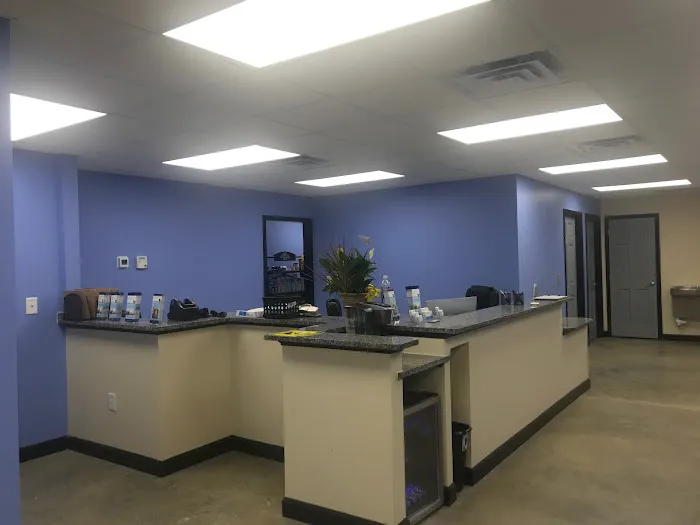 Animal Emergency Hospital of the Pee Dee Picture 4
